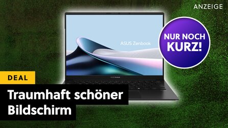 Brachiale Prozessor-Performance auf brillantem OLED-Display: Das ist ein Notebook zum Schwärmen