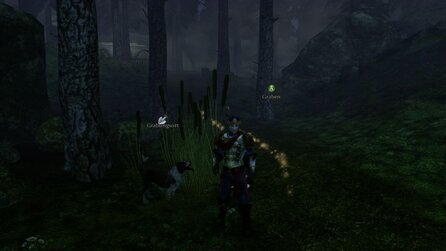 Fable 3