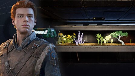 So findet ihr in Star Wars Jedi: Fallen Order alle Samen für Greez Terrarium