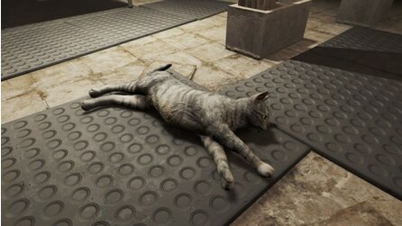 Fallout 4 - Cat-Mod kümmert sich um die Katzen der Endzeit