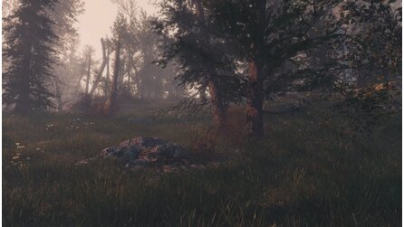 Fallout 4 – Commonwealth Conifers Redux - Bilder