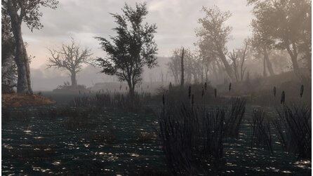 Fallout 4 – Commonwealth Conifers Redux - Bilder