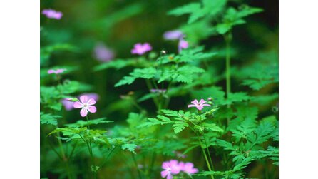 Frühlings-Quiz 2013 - 15 Fragen zu aktuellen Spielen