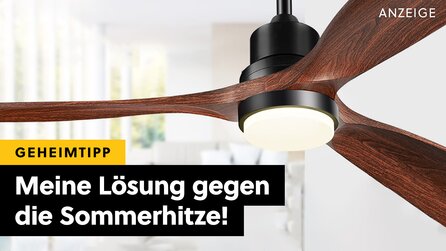 Die für mich beste Alternative zu lauten und teuren Klimaanlagen - mein Deckenventilator macht für mich den Sommer deutlich erträglicher