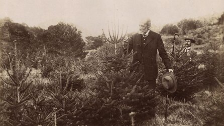 Vor 135 Jahren schoss er Samen per Schrotflinte – heute ist daraus ein riesiger Park entstanden