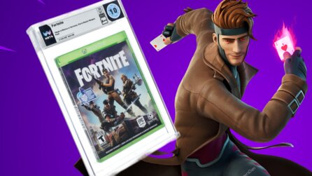 Fortnite ist Free2Play und trotzdem hat gerade jemand allen Ernstes über 36.000 Euro für eine Version hingeblättert