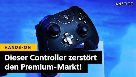 Was bei den Flaggschiffen über 200€ kostet, gibt es hier für nicht einmal 60€! Dieser Controller bringt Premium in die Budget-Klasse
