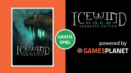 Icewind Dale: Enhanced Edition gratis bei GameStar Plus – Taktikschlachten im Eiswindtal