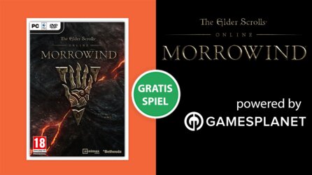 Teaserbild für The Elder Scrolls Online: Morrowind gratis bei GameStar Plus - Sommerurlaub in Tamriel