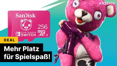 Wer mehr Speicherplatz für die Switch, sein Smartphone oder Handheld-PC sucht, hat die richtige Zeit gefunden! [Anzeige]