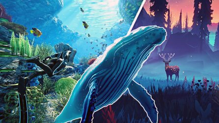 Diese PC-Geheimtipps im Juni 2020 solltet ihr auf dem Schirm haben