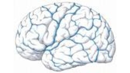 Gehirnwellen-Messung - Forscher erkennen Müdigkeit, Interesse, Unlust, Stress und vieles mehr