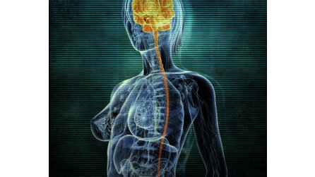 Girl Fight - Screenshots