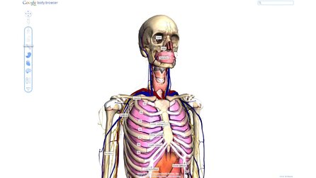 Google Body Browser - Anatomie in 3D-Grafik mit WebGL