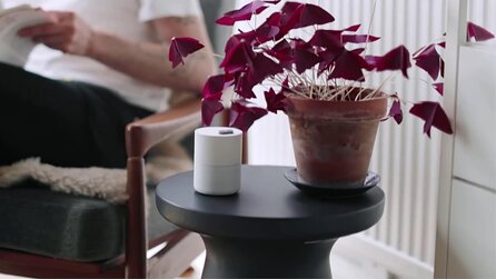 Google will, dass Smart Homes entspannter werden - und lässt dafür eine Zimmerpflanze tanzen