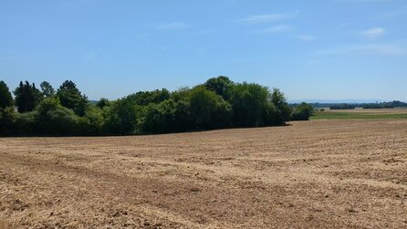 Google Pixel 6a - Testaufnahme 4K60fps