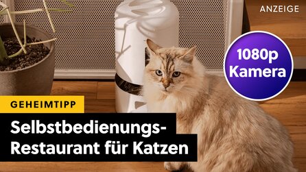 Meine Katze liebt diesen smarten Futterspender von Petlibro: Mit 5G-Verbindung, 1080p-Nachtsicht-Kamera und Bewegungsmelder!