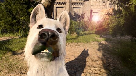 Baldurs Gate 3: Eulenbär, Hund, Gehirn mit Füßchen - so schaltet ihr alle 7 Tierbegleiter in einem Durchgang frei