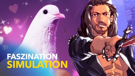 Teaserbild für Der Sex ist bei richtig guten Dating-Sims Nebensache