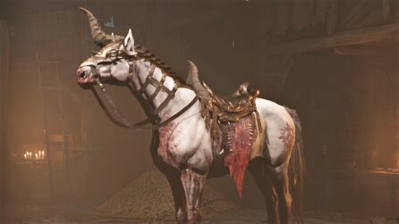 Diablo 4: Der süßeste Begleiter im Spiel ist eigentlich nur ein kurioser Bug