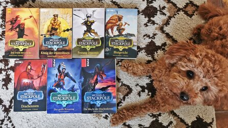 Nach 20 Jahren habe ich sieben großartige Fantasy-Bücher wiederentdeckt, die dem Autor niemand zugetraut hätte
