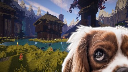 Mann will Hund Minecraft beibringen - kann am Ende sogar Gegner töten