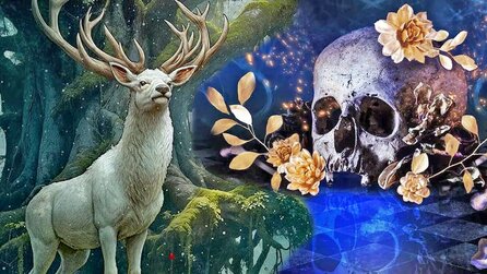 Ich bin in meinem Freundeskreis »Die Frau mit der Bibliothek«: Das sind 5 deutsche Fantasy-Bücher, die ich immer wieder gerne lese