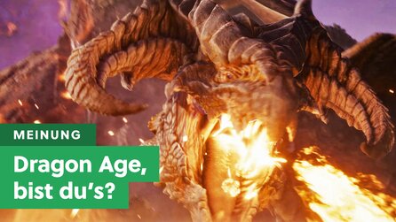 Jemand versteht Dragon Age komplett falsch und es ist hoffentlich nicht Bioware