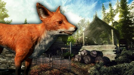 Skyrim-Entwickler lüftet 10 Jahre altes Geheimnis der Schatzfüchse