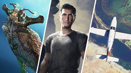 Im Steam Sale gibt es gerade 14 spannende Spiele besonders günstig