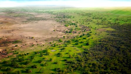 Afrika strebt seit 19 Jahren eine Grüne Mauer an, die 4,4-mal so groß wie Deutschland ist – nun nimmt das lebendige Gebilde eine neue Form an