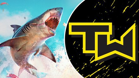 Tripwire-Chef tritt nach Tweet zum umstrittenen Abtreibungsgesetz in Texas zurück