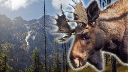 Way of the Hunter: Neue Simulation protzt mit Unreal-Grafik, Story-Kampagne und gigantischer Open World