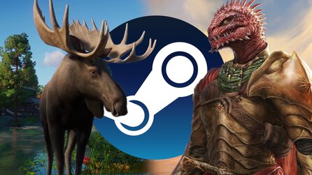 Steam Winter Sale endet heute: Letzte Chance, diese tollen Spiele günstig abzustauben!