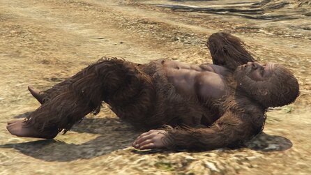 GTA 5 - Nach Monaten der Recherche: Haariges Easter-egg entdeckt