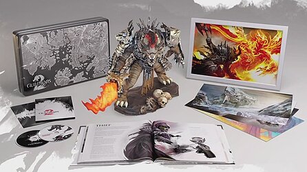 Guild Wars 2 - Details zu den Vorkäufer-Boni