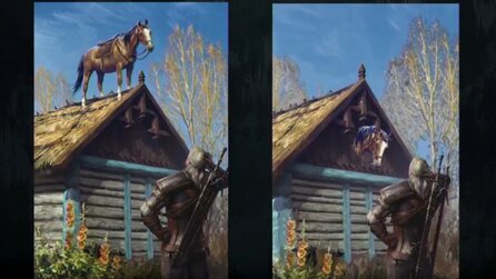 The Witcher - Plötze-Glitch wird mit animierter Gwent-Karte geehrt