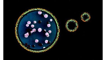 Speichertechnologie - Protein-basierte DVD mit 50 Terabyte?