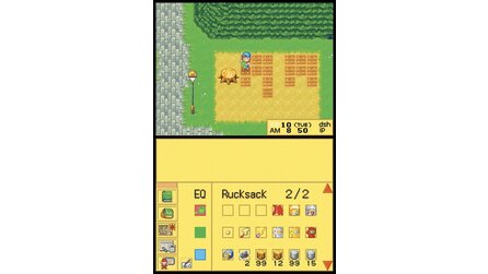 Harvest Moon DS