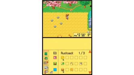 Harvest Moon DS