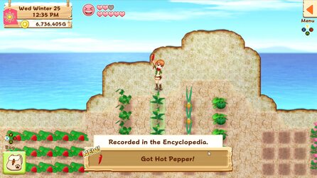 Harvest Moon: Light of Hope - Screenshots