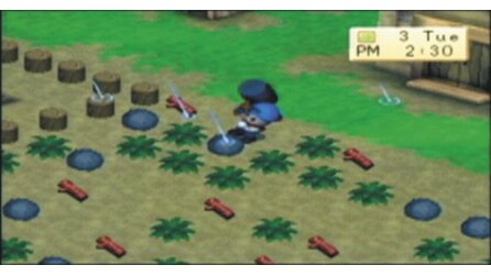 Harvest Moon: Boy + Girl PSP