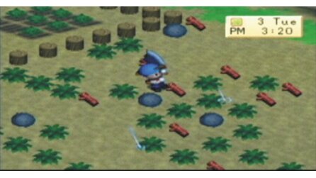 Harvest Moon: Boy + Girl PSP