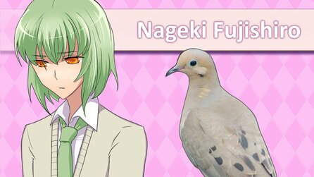 Hatoful Boyfriend - Screenshots