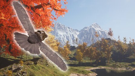 Ich kann in Hawthorn als Ratte auf einer Eule fliegen und das ist noch nicht mal das Beste an der Lebenssimulation