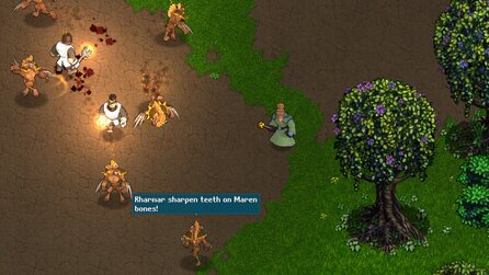 Studioschließung der Everquest-Erfinder - 2D-Rollenspiel Heros Song wird eingestellt
