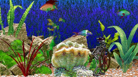 Legendär schlecht: El-Fish - Heinrich Lenhardt schläft bei den Fischen