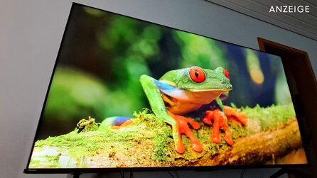 Teaserbild für 75 Zoll-TVs sind gerade günstig wie nie - aber sind sie auch gut? Ich habe das Selbstexperiment gewagt und bin überrascht!
