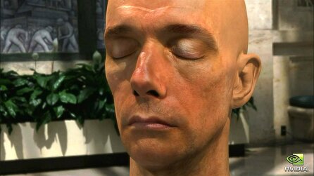 Nvidia-Demo Human Head - Screenshots