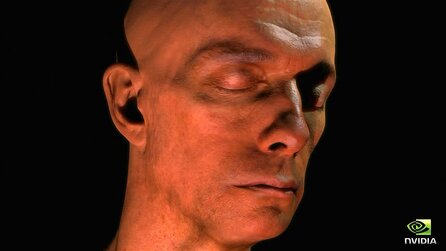 Nvidia-Demo Human Head - Screenshots